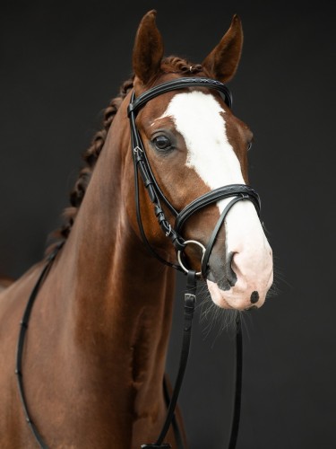 Bridle Jana HKM
