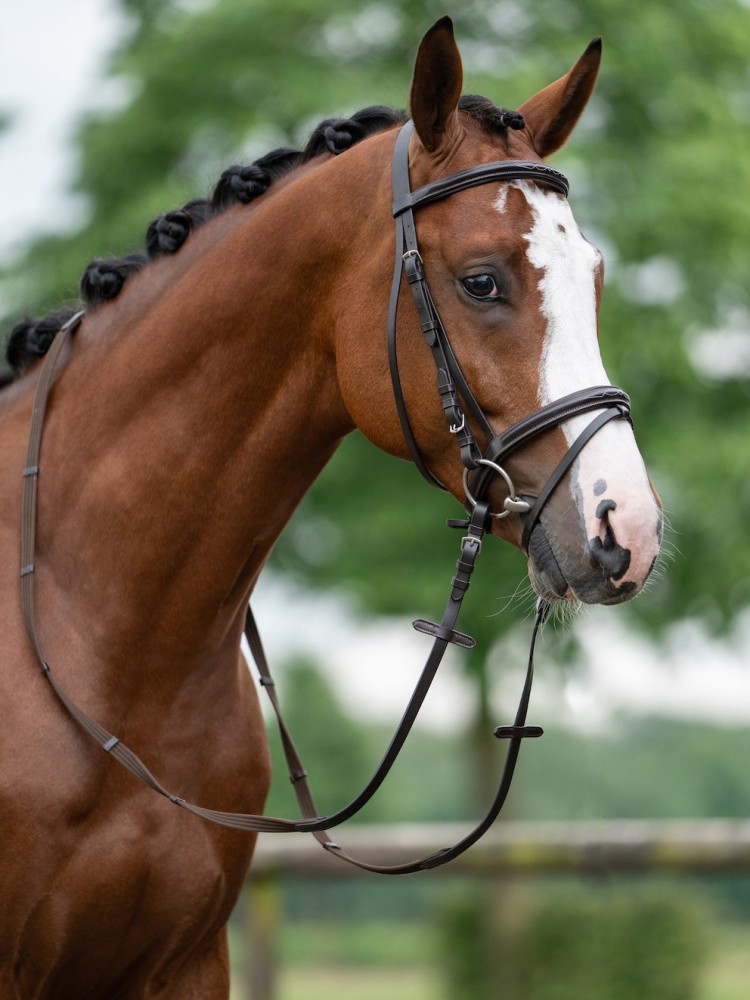 Bridle Jana HKM