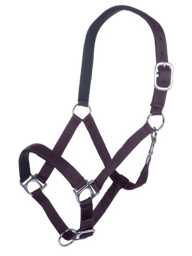 Head collar Stars HKM