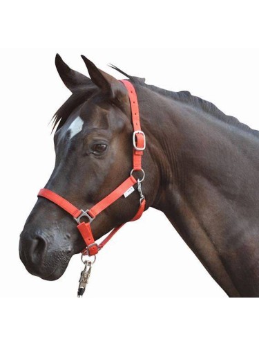Head collar Stars HKM