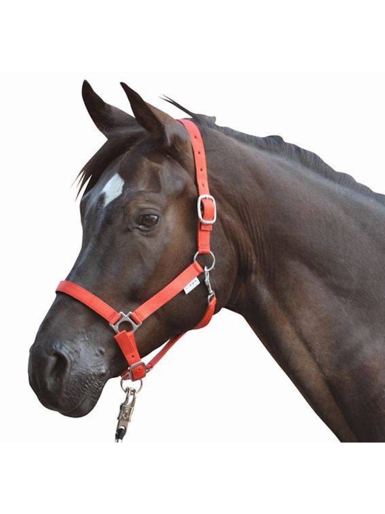 Head collar Stars HKM