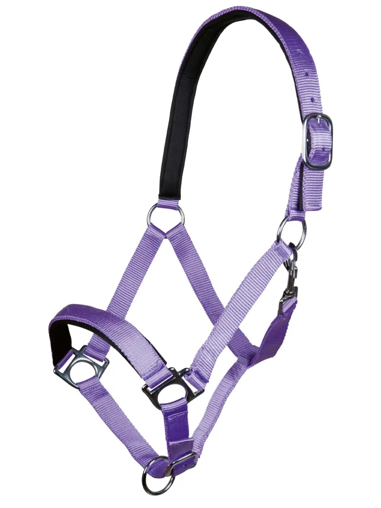Head collar Stars HKM