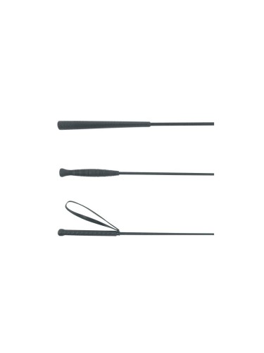 Lunging whip Telescopic Covalliero