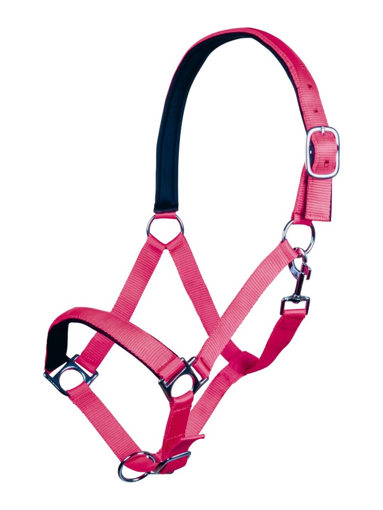 Halter Stars Softice HKM