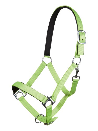 Halter Stars Softice HKM