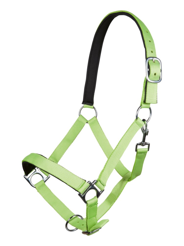 Halter Stars Softice HKM