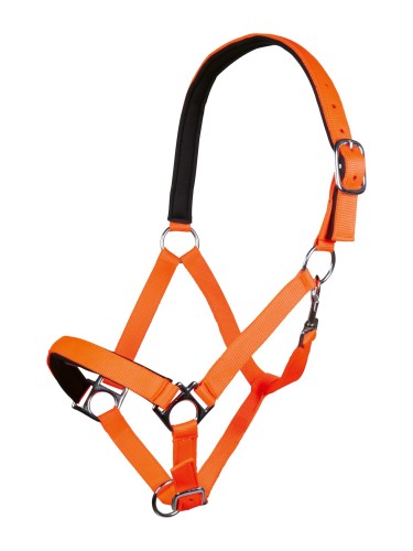 Halter Stars Softice HKM
