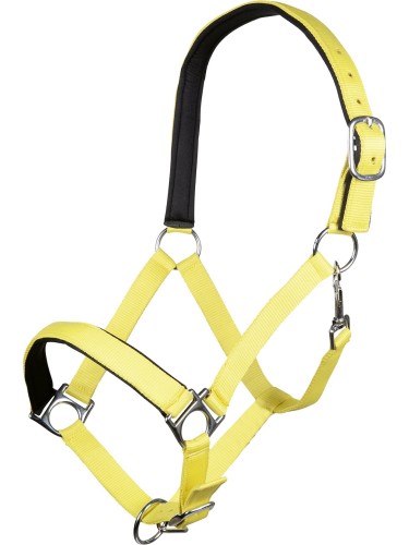 Halter Stars Softice HKM