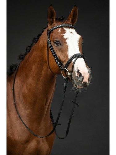 Bridle Economic HKM