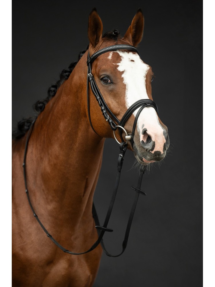 Bridle Economic HKM