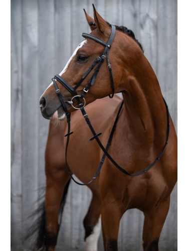 Bridle Economic HKM