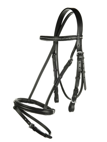 Bridle Economic HKM