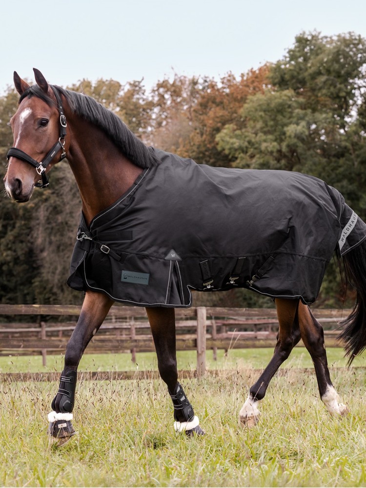 Turnout rug Scandic 0g 1200D Waldhausen