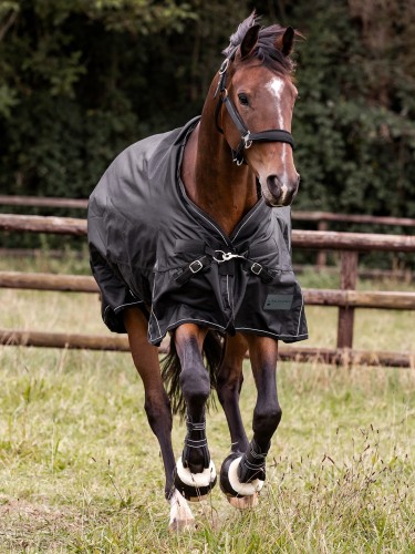 Turnout rug Scandic 0g 1200D Waldhausen