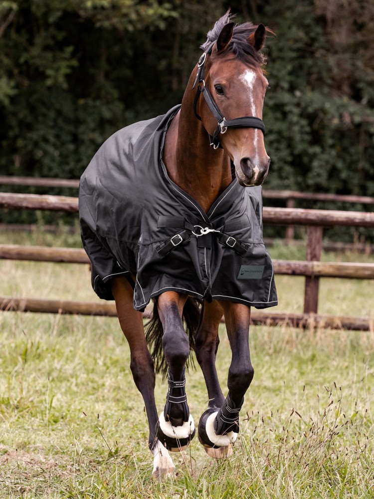 Turnout rug Scandic 0g 1200D Waldhausen