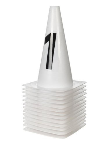 Pylons Jumping Hobby Horsing HKM