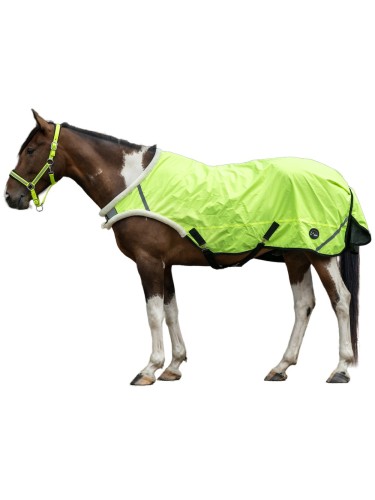 Walker rug Reflective HKM