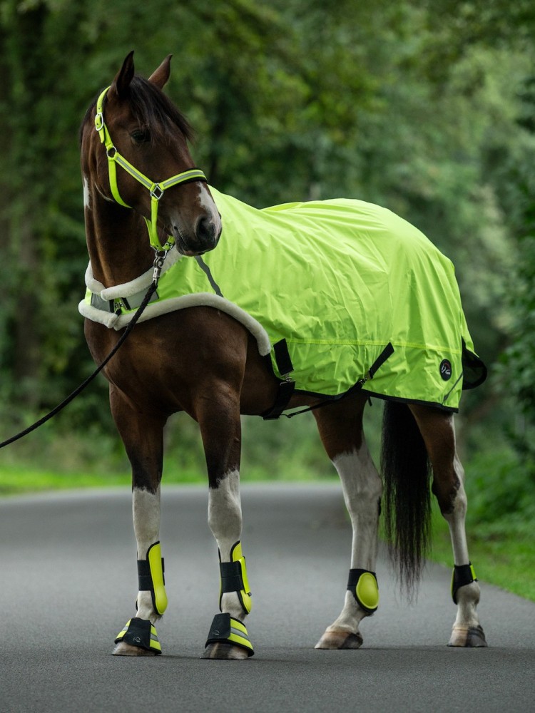 Walker rug Reflective HKM