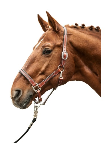 Leather halter Soft HKM
