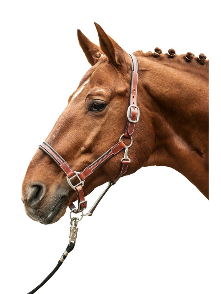Leather halter Soft HKM