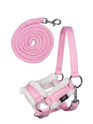Head collar and lead rope Teddy Hobby Horsing HKM