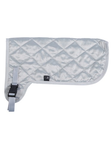 Rug Hobby Horsing HKM
