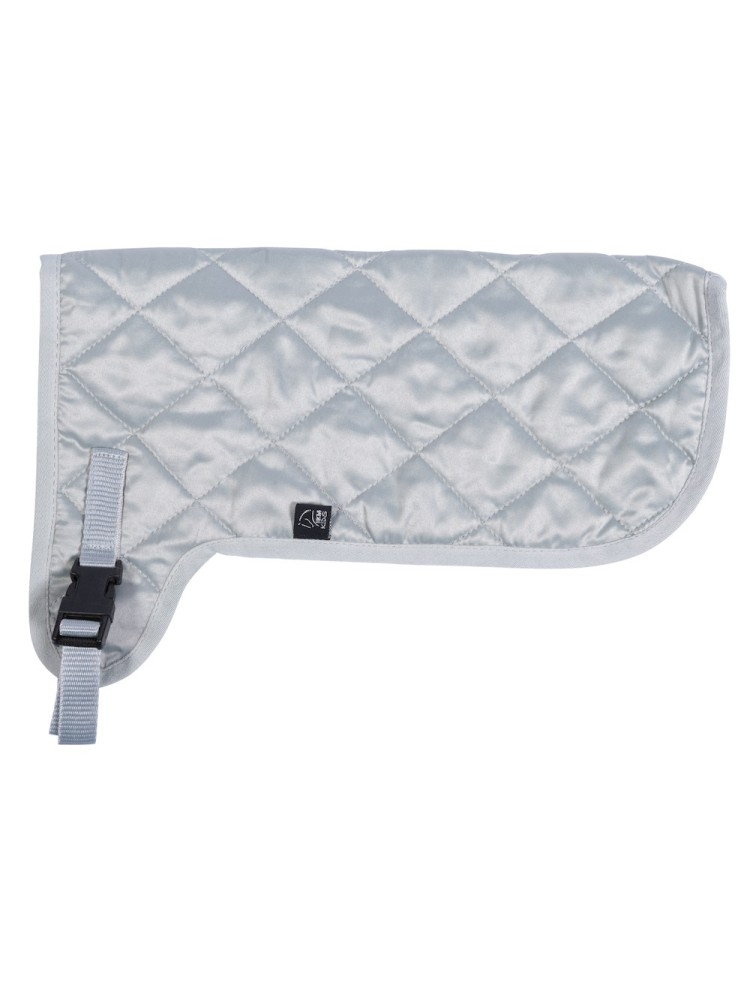 Rug Hobby Horsing HKM