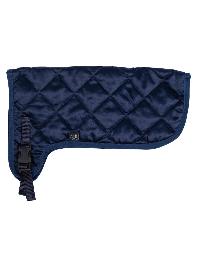 Rug Hobby Horsing HKM