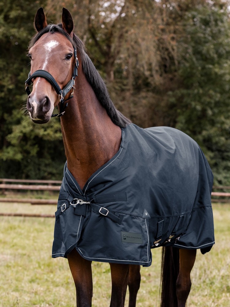 Turnout rug Scandic 100g 1200D Waldhausen