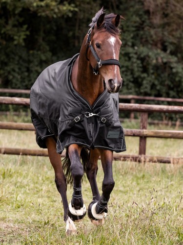 Turnout rug Scandic 100g 1200D Waldhausen