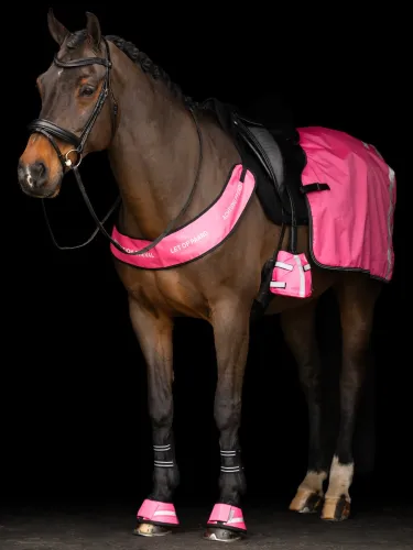 Exercise rug Reflective Imperial Riding