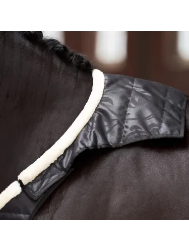 Chest guard Super-Dry Imperial Riding