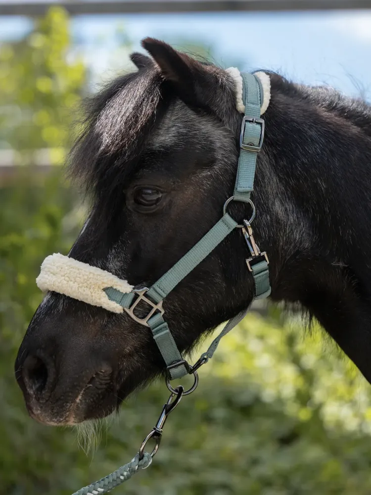 Halter Mia Pony HKM