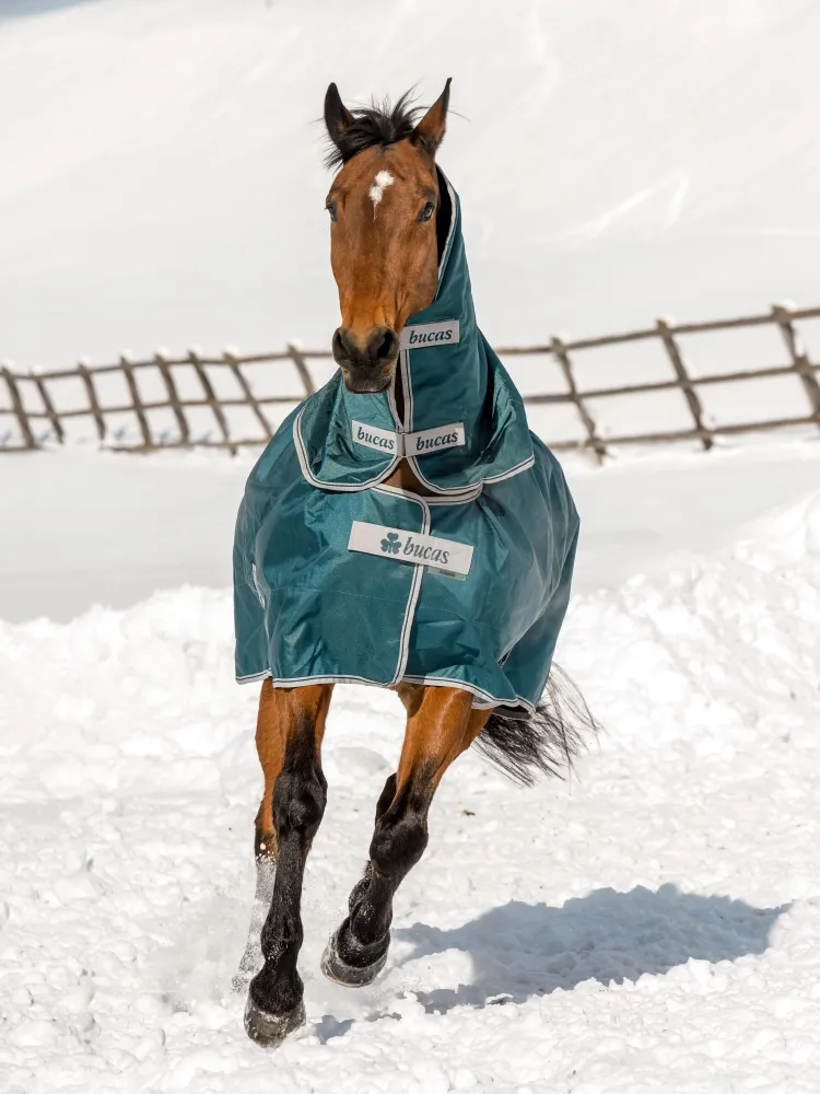 Turnout rug Atlantic Turnout 50g 1680D Bucas (neck part)