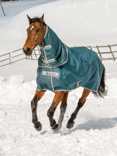 Turnout rug Atlantic Turnout 50g 1680D Bucas (neck part)