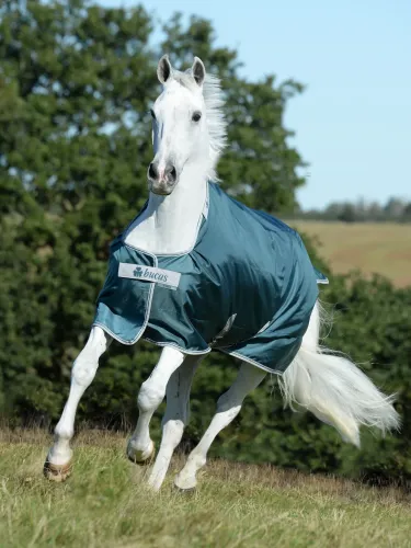 Turnout rug Atlantic Turnout 50g 1680D Bucas (neck part)