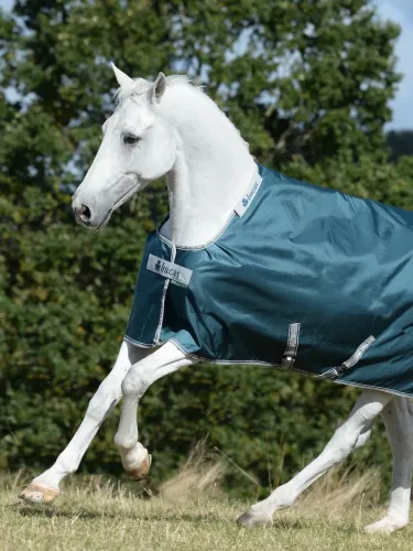 Turnout rug Atlantic Turnout 50g 1680D Bucas (neck part)