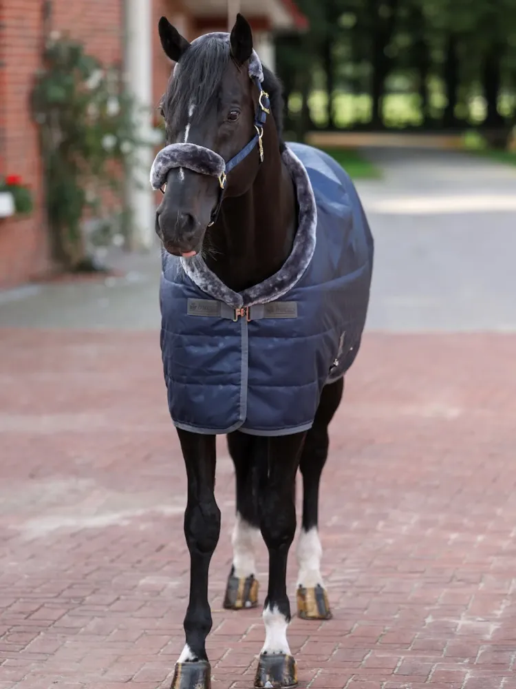 Stable rug Show-Line 150g Bucas