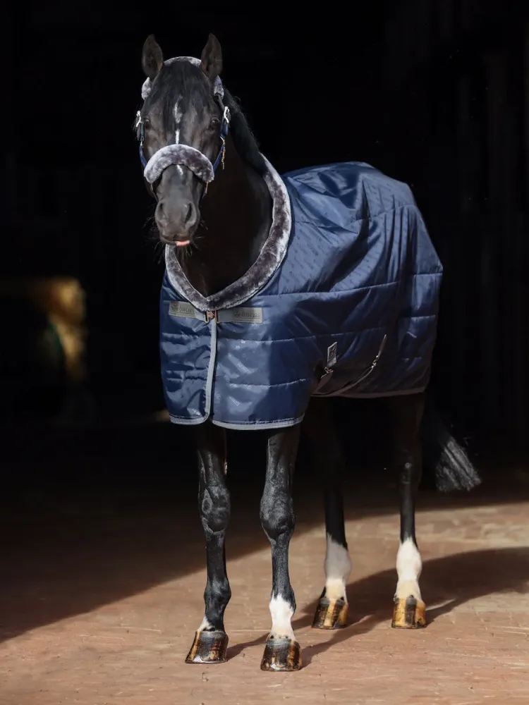 Stable rug Show-Line 150g Bucas