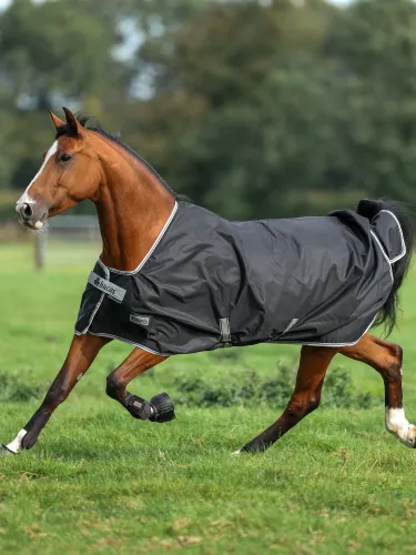Turnout rug Anniversary 0g 600D Bucas