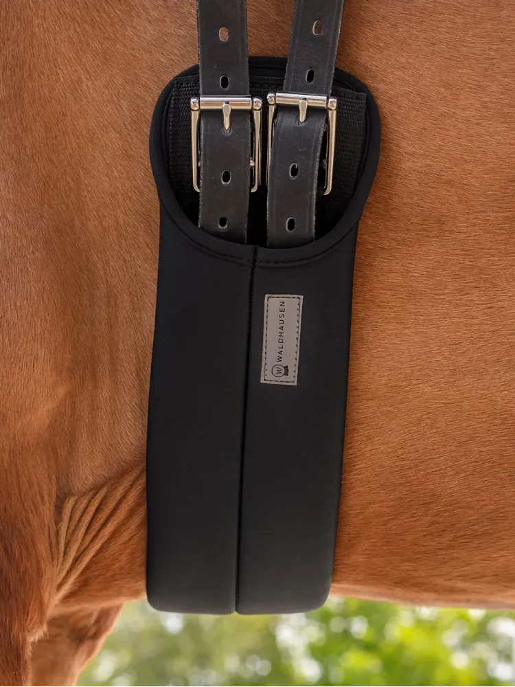 Dressage girth Short Waldhausen