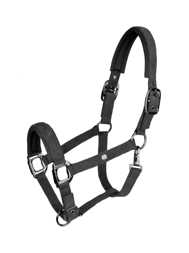 Halter St.Gallen Waldhausen