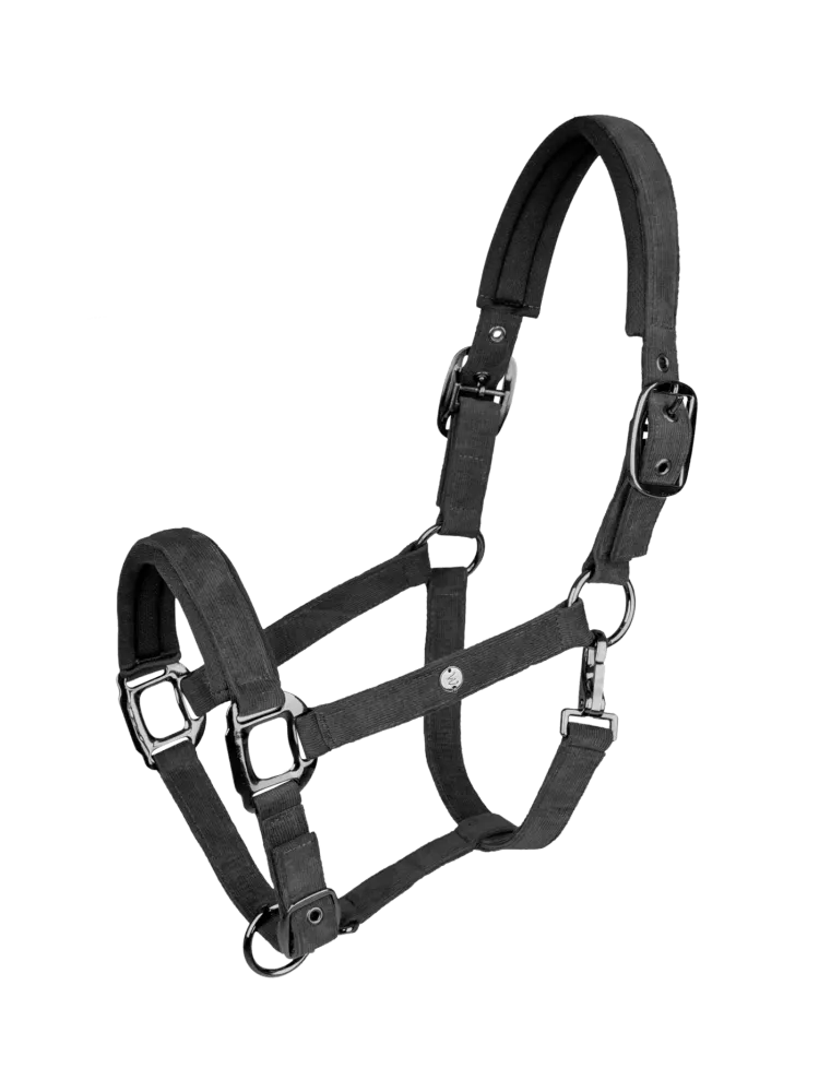 Halter St.Gallen Waldhausen