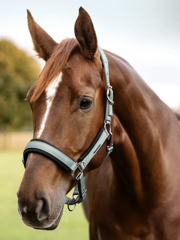 Halter Soft Touch Waldhausen