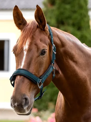 Halter Soft Touch Waldhausen