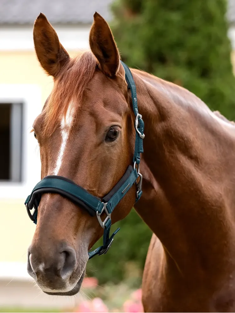 Halter Soft Touch Waldhausen