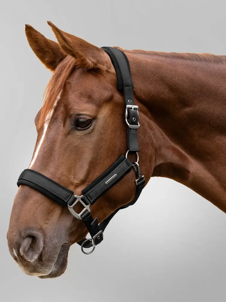 Halter Soft Touch Waldhausen