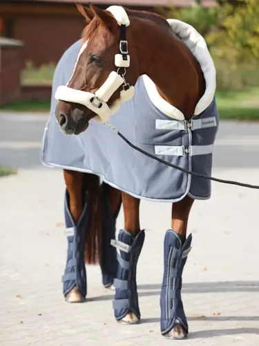 Cooler rug Elegance Kavalkade