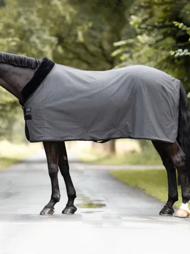 Cooler rug Elegance Kavalkade