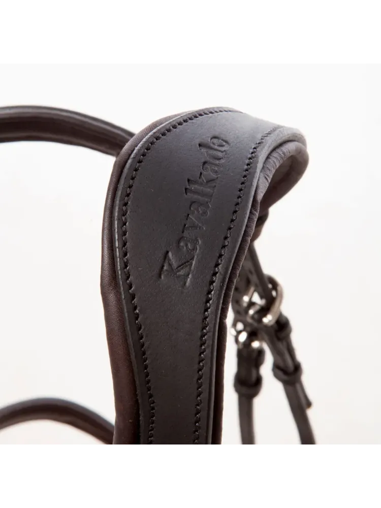 Bridle Everyday Oiled Leather Kavalkade